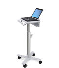 Sv10 0698833051926 Unbranded Ergotron Styleview Laptop
