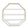 213067 Kate And Laurel Lintz Large Octagon Floating Wall 689739213822