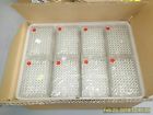 278606 Thermo Nunc Case Of Scientific Deepwell Ps Avail