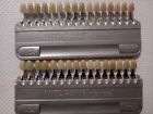 51102 Vitapan Porcelain Dental Shade Guide Classical Colours