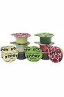 600110 Young Dental Zooby Animal Pack Assorted Prophy Paste Angles