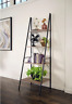 7426980868400 Unbranded Ladder Bookshelf Organize With Style Easily Find