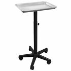 Bty-tray-250.svl Saloniture Salon Tray Medical 609728828417