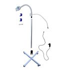 Skysea Portable Teeth Whitening Led Light Accelerator Bleaching Lamp Floor Skysea Portable Teeth Whitening Led Light Accelerator Bleaching Lamp Floor