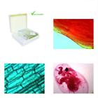 Vse117 Prepared Microscope Sample Slides Slide Set Water Life 600649654253