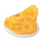 Wa07173 Nasco Human Body Fat Replica With Display Base 791836690571
