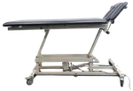 Performa Hi-lo Treatment Table. Fixed Price $299.40.