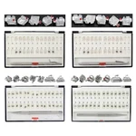 Dental Orthodontic Self Ligating Brackets Metal Ceramic Roth Mbt 022 Damon Ormco. Fixed Price $108.99.
