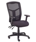 Interion CA-27270 Mesh Office Chair W/ High Back/adjustable. Fixed Price $200.00.