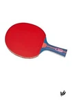 Nittaku NH5140 Mima S2500 Table Tennis Racket With Plastic Balls. Fixed Price $39.00.