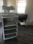 Olympus WM-30 Mobile Workstation. Fixed Price $450.00.
