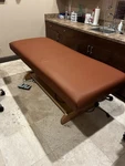Oakworks Electric Hi-lo Treatment Table Brown Upholstery Professional. Fixed Price $750.00.