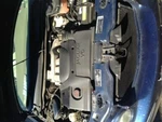02 03 04 05 06 07 08 Jaguar X Type Roof Glass 109784. Fixed Price $99.99.