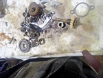 1971 Suzuki 250 Primary Gear/oil Pump Drive Some Case Screws/misc Parts. Fixed Price $36.99.