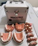 Acadental Modupro Endo Typodont Kit Mp E120 Pc W/ Jaws/teeth Carrying Case. Fixed Price $200.00.
