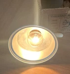 Rare Brandt & Son Thermo Ray Lamp Hand Held Mobile Heating Medical Therapy Light. Fixed Price $180.00.