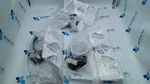 Philips Respironics M AF531 Ee Leak Ne Single Use Ref 1119108 Set Of. Fixed Price $215.27.