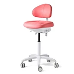 Dental Doctor Stool Adjustable Height Mobile Backrest Seat Chair Silent Wheels. Fixed Price $190.00.