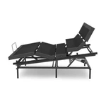 "full Upper Body Tilt" Feature! Rize Remedy 3 Adjustable Lumbar Bed. Fixed Price $2699.00.