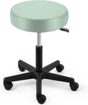 Clinton Ind. Seafoam Green Swivel Stool 5-LEG Black Base Pneumatic. Fixed Price $155.00.