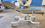 Biodex 056-605 Deluxe Ultrasound Table. Fixed Price $300.00.