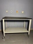 4' Hamilton Rolling Lab Desk Table Epoxy Top Casters (112890). Fixed Price $660.00.