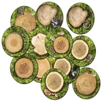 Flagship Carpets Forest Floor Multicolor Educational Rug Childrens. Fixed Price $119.47.