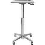 Ergotron 24481003 Learnfit Adjustable Standing Desk 24"X22" White/silver. Fixed Price $660.79.