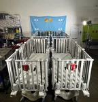 Stryker FL19F-2 Cub Pediatric Crib Stretcher (C290). Fixed Price $2000.00.