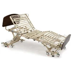 Medline Alterra Maxx Long-term Care Hospital Beds. Fixed Price $2531.99.