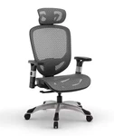 Staples Hyken Ergonomic Mesh Swivel Task Chair, Charcoal Gray (ST63139). Fixed Price $116.99.