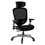 Staples Hyken Task Chair, Mesh, Ergonomic, Lumbar Support, Swivel, .... Fixed Price $238.78.