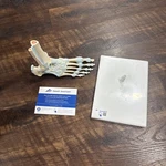 3B Scientific Anatomical Model M34 Right Foot Skeleton W/elastic Ligaments. Fixed Price $110.00.