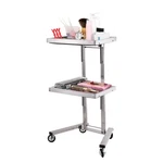 Stainless Steel Salon Tray Wheels For Tattoo Medical Dental,rolling. Fixed Price $57.60.