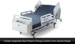Citadel Patient Care Hospital Adaptable Therapy System Beds Arjohuntleigh. Fixed Price $1999.00.
