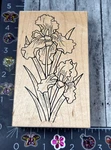 Great Impressions Tall Iris Flowers H80 Rubber Stamp Wood #Q21. Fixed Price $11.00.